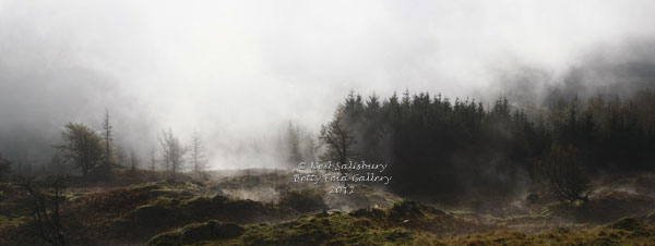 Lakeland Fells Photographs by Neil Salisbury Betty Fold Gallery Hawkshead Hill